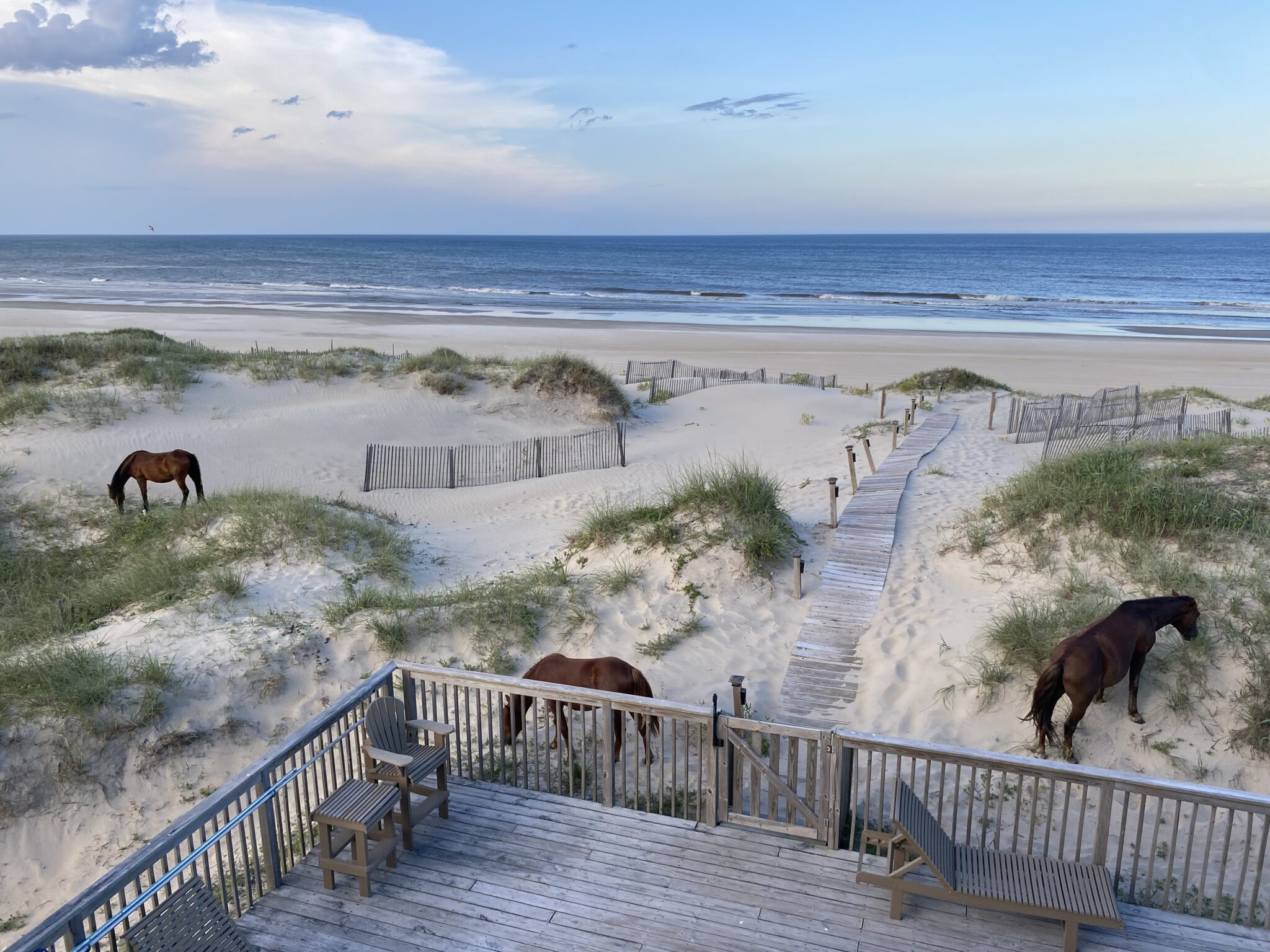 OBX News Blog Real Estate Scott Team Realty Inc