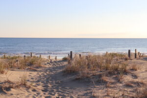 What's new on the Outer Banks