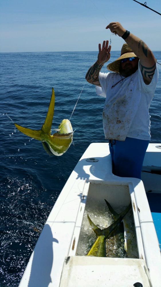 catching a mahi should be on your outer banks bucket list for August